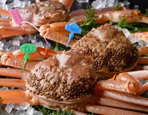 【夕食オプション】冬の味覚の王様・松葉蟹