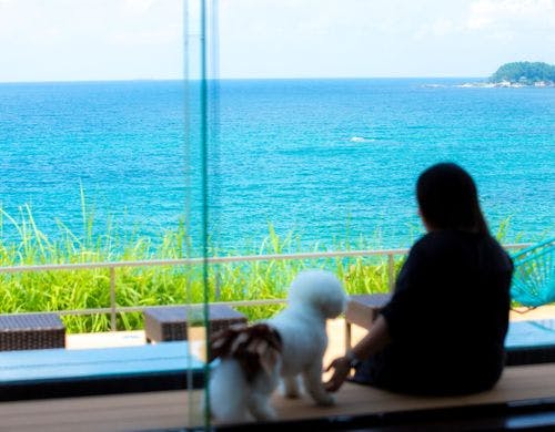 【テラス】愛犬と一緒に日本海の絶景を望む