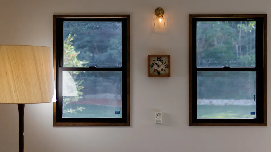 The Dog Villa Olive