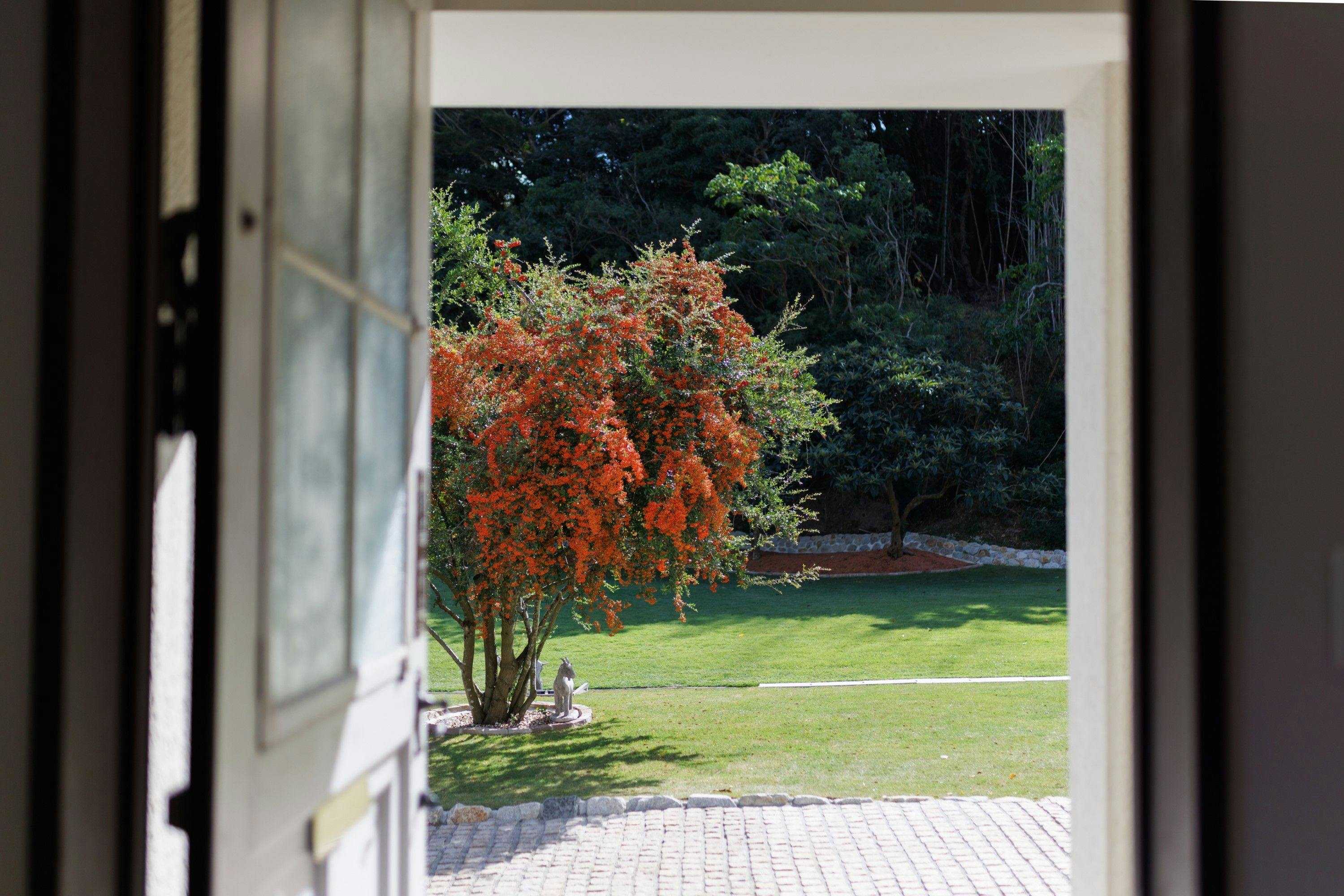 The dog villa Olive