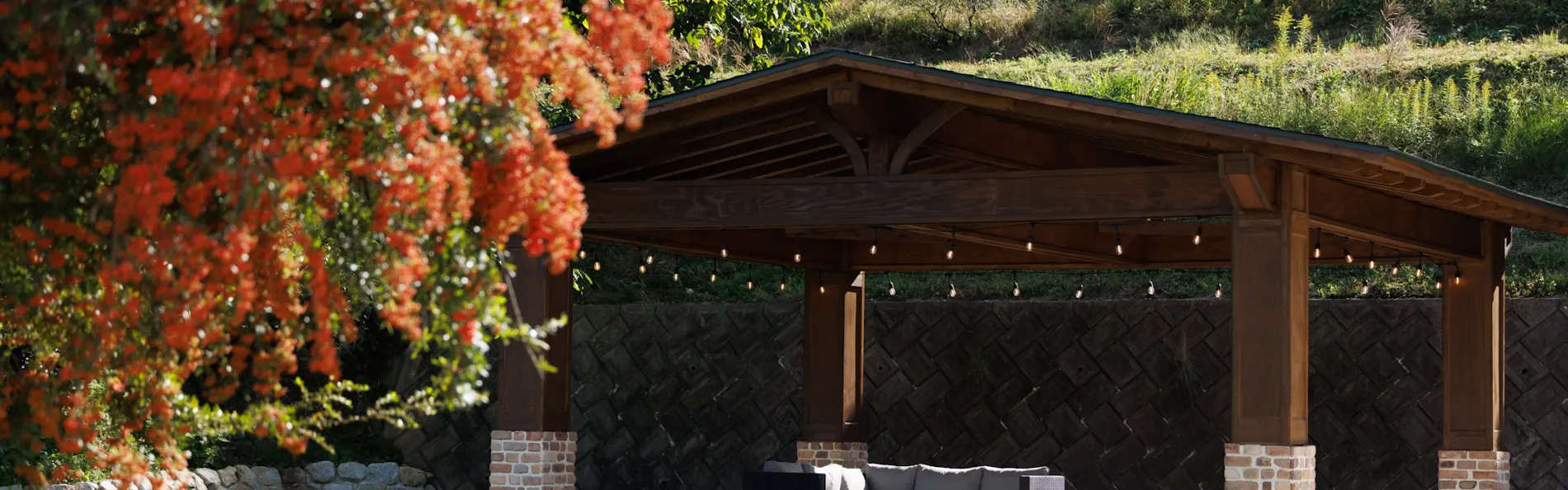 The dog villa Olive