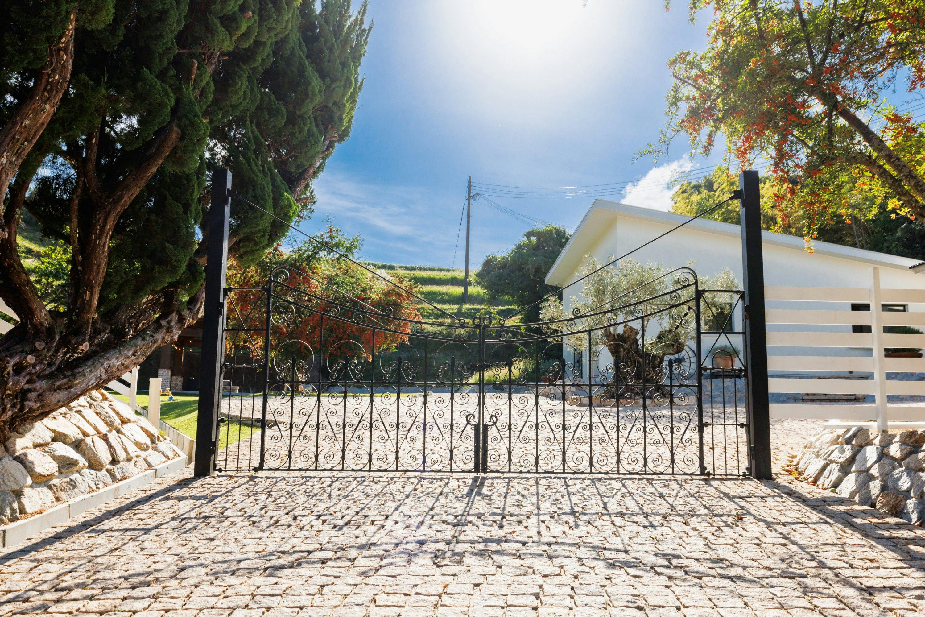 The dog villa Olive