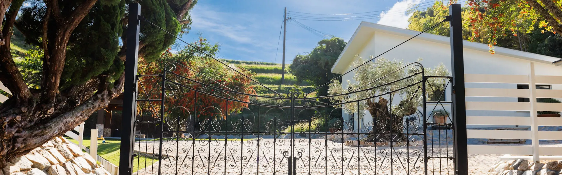 The dog villa Olive