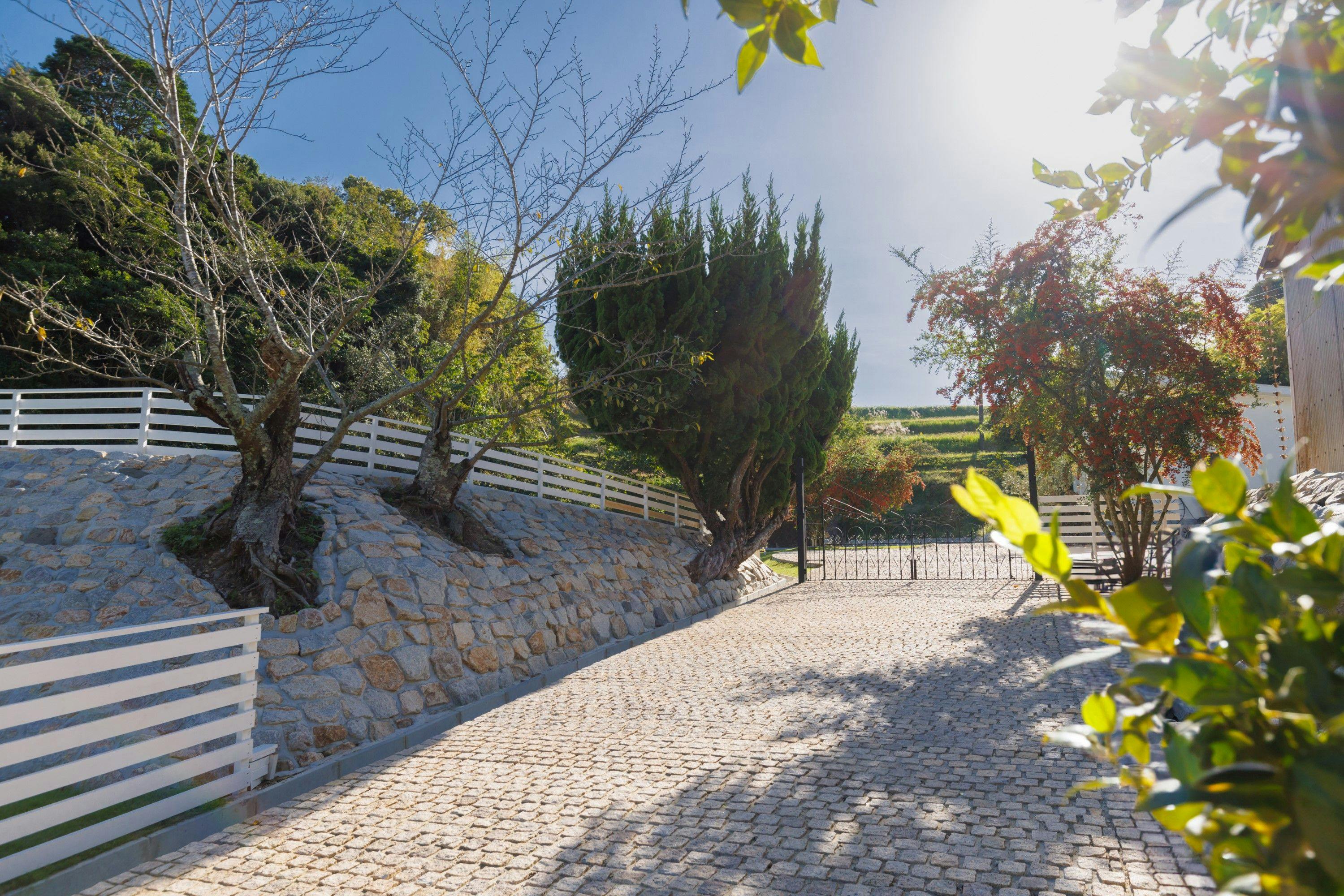 The Dog Villa Olive