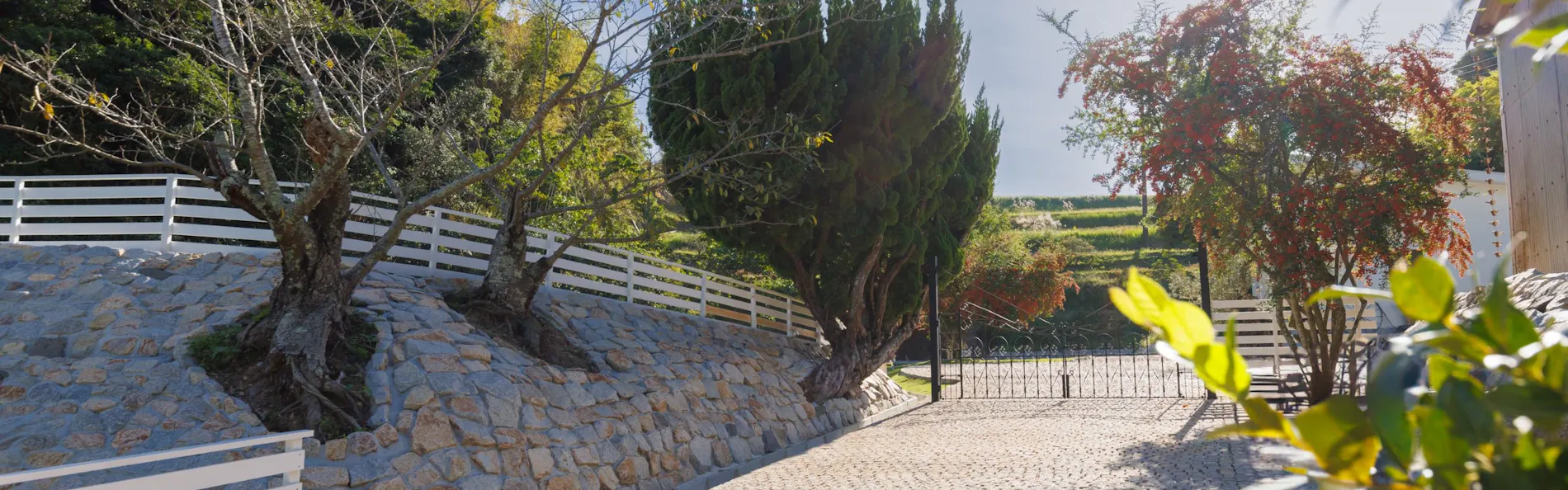 The dog villa Olive