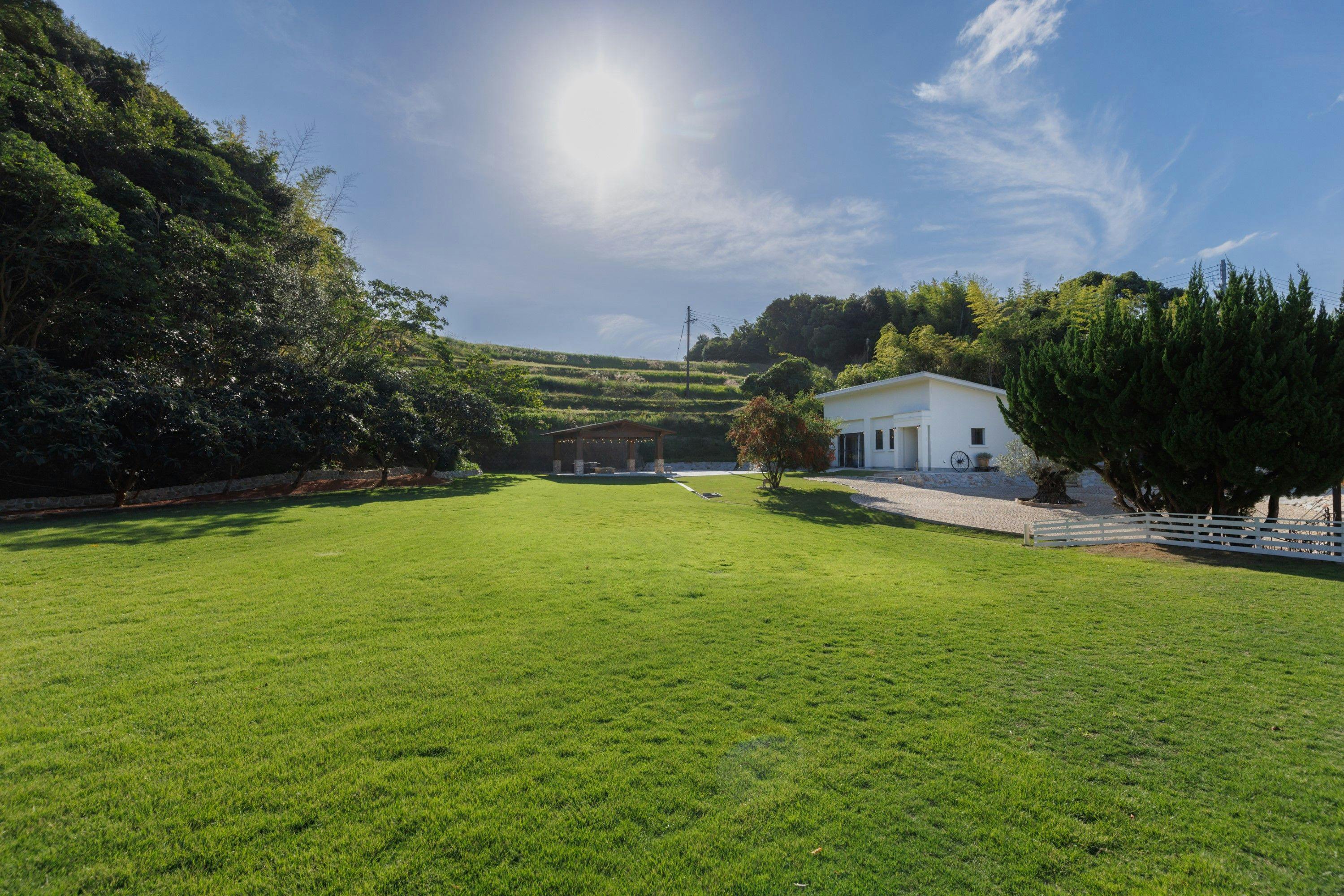 The dog villa Olive