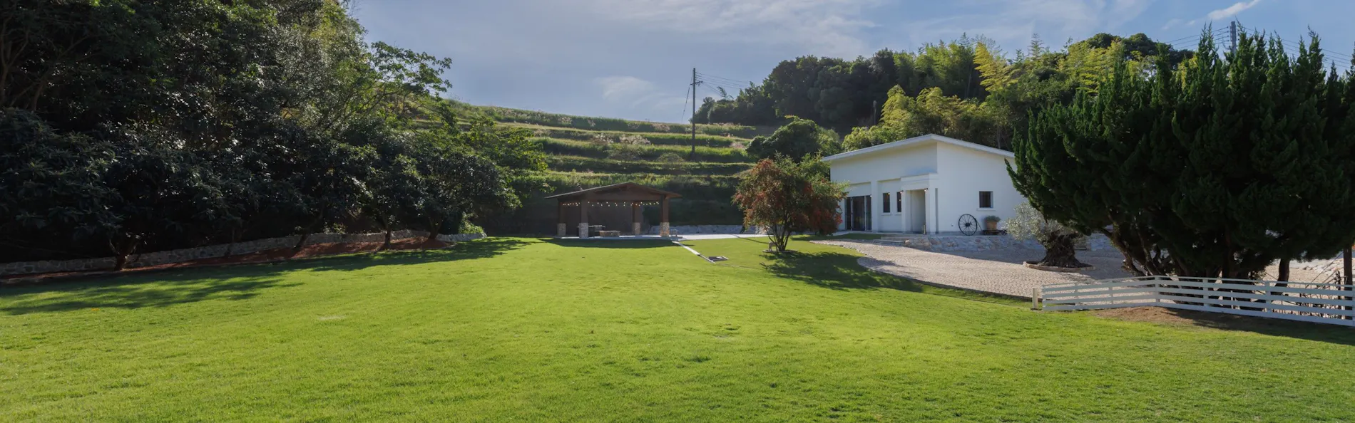 The dog villa Olive
