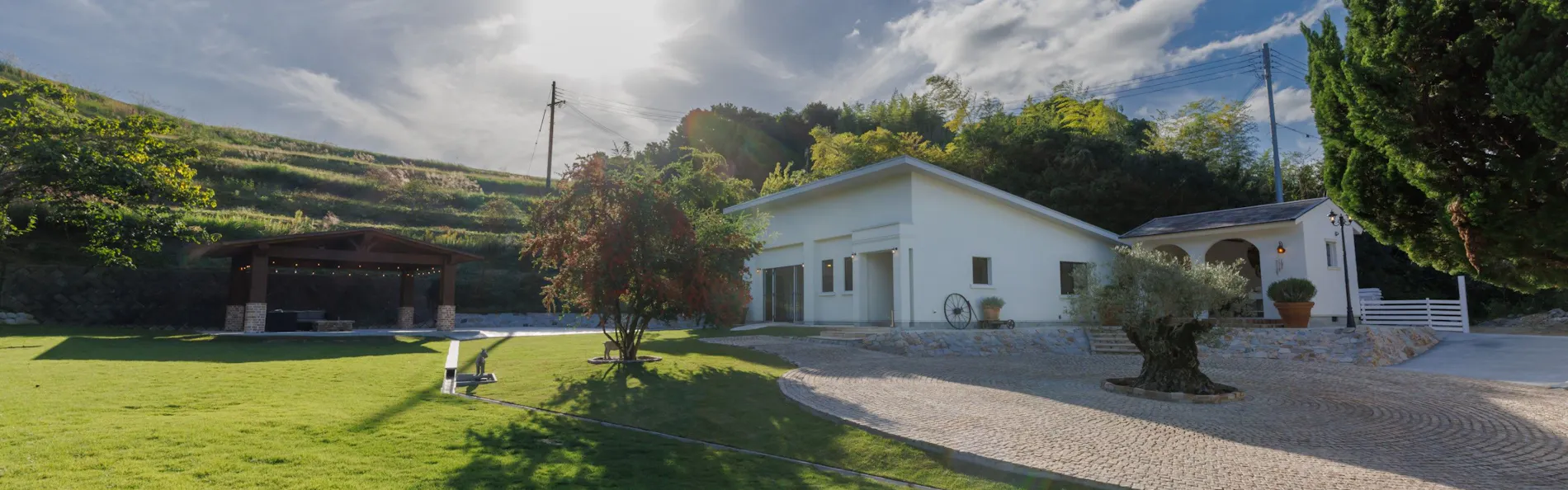 The dog villa Olive