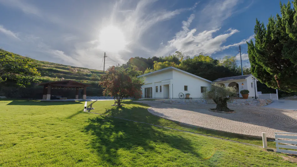 The Dog Villa Olive