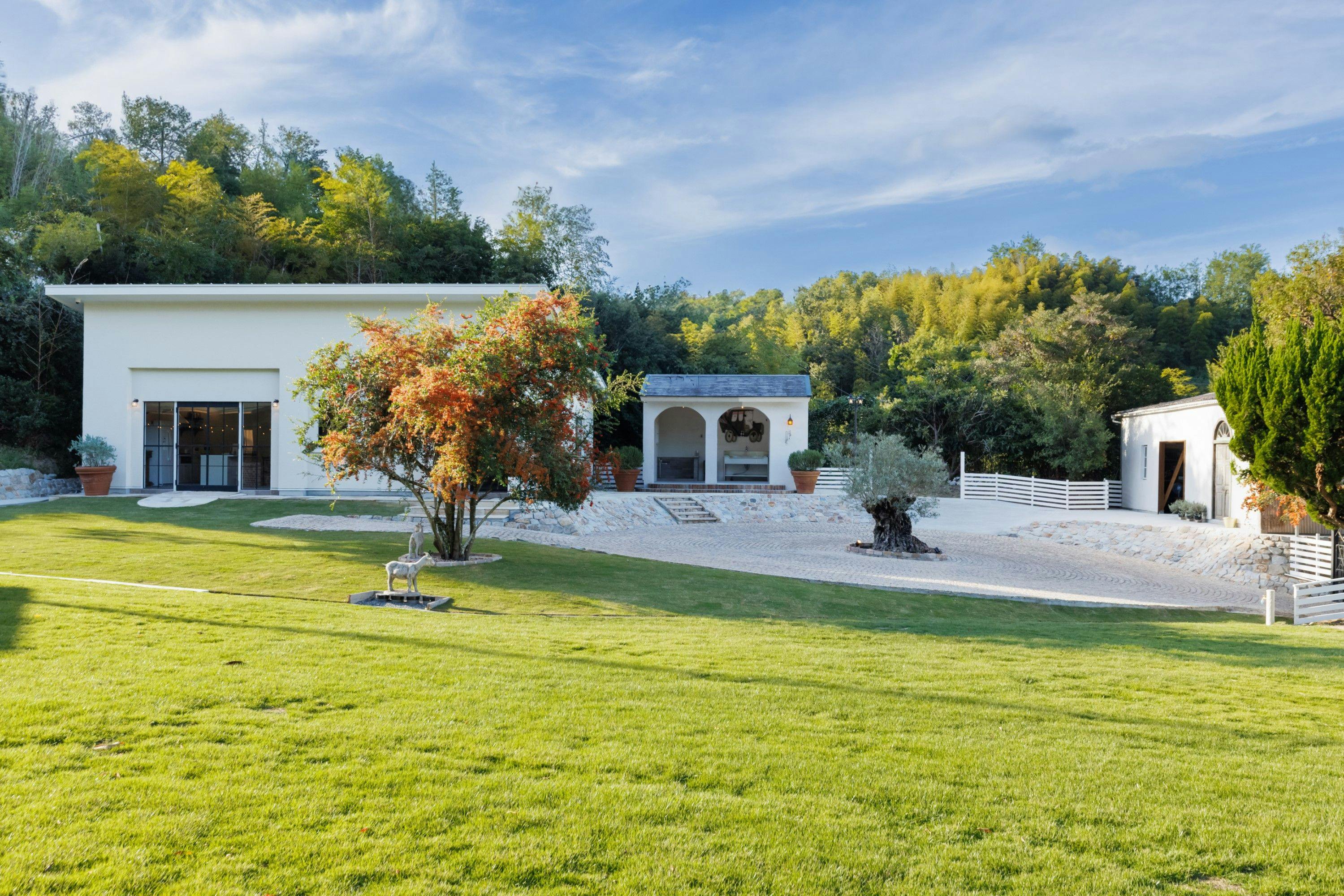 The dog villa Olive