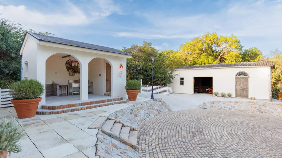 The Dog Villa Olive