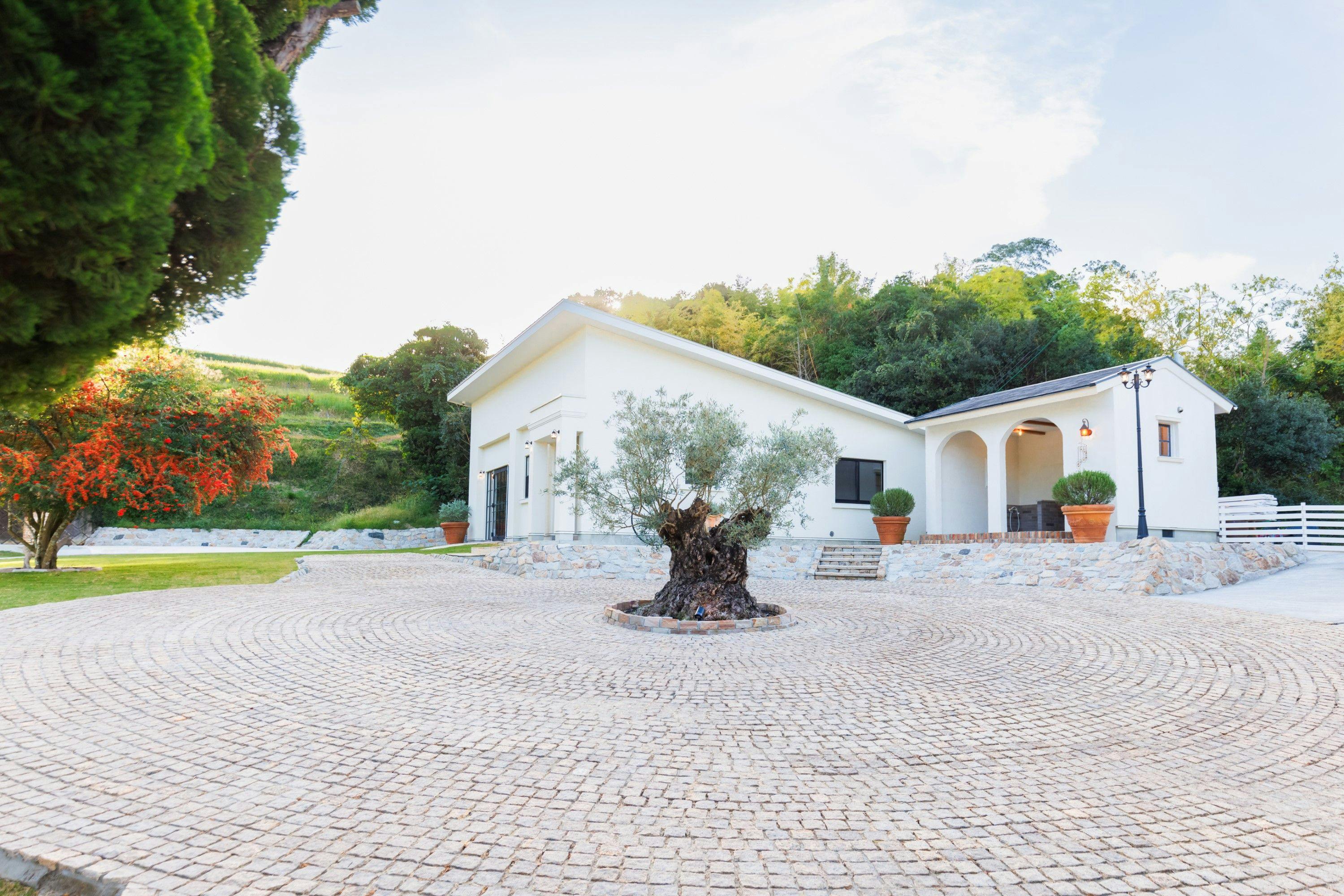 The dog villa Olive