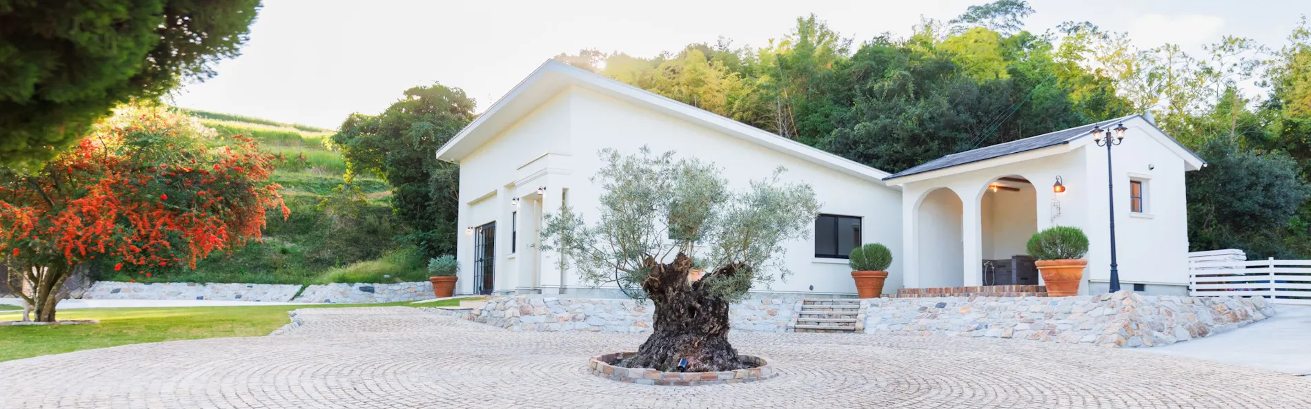 The dog villa Olive