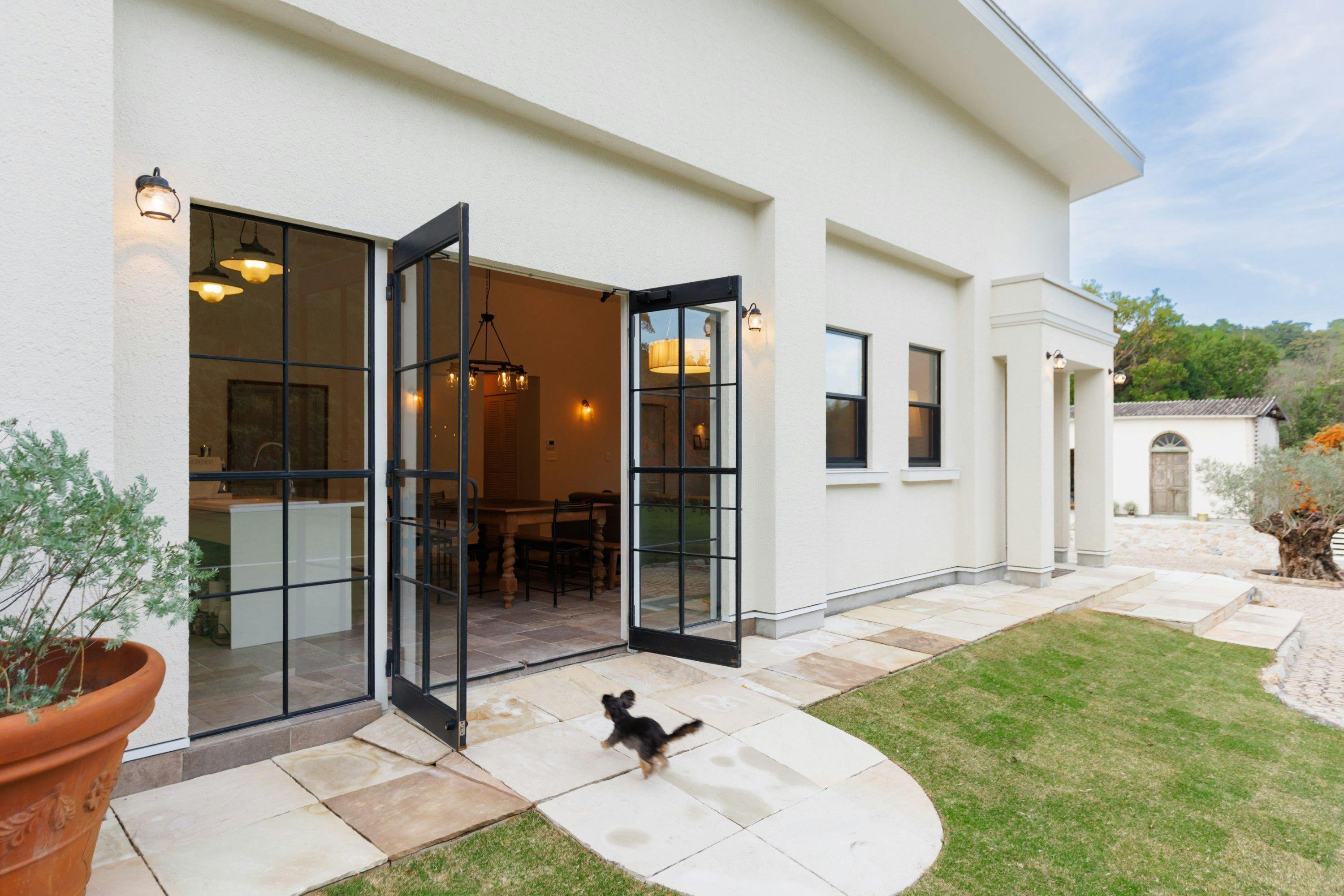 The dog villa Olive