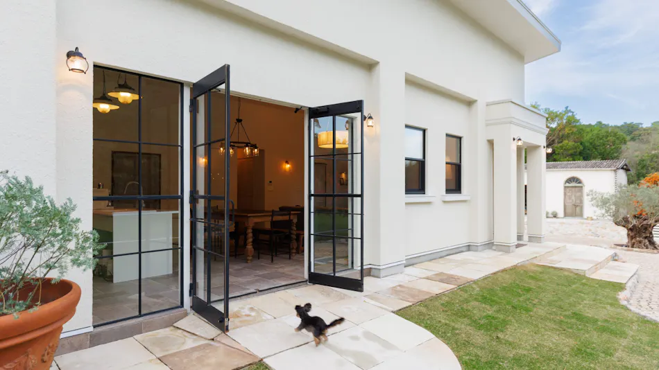 The Dog Villa Olive