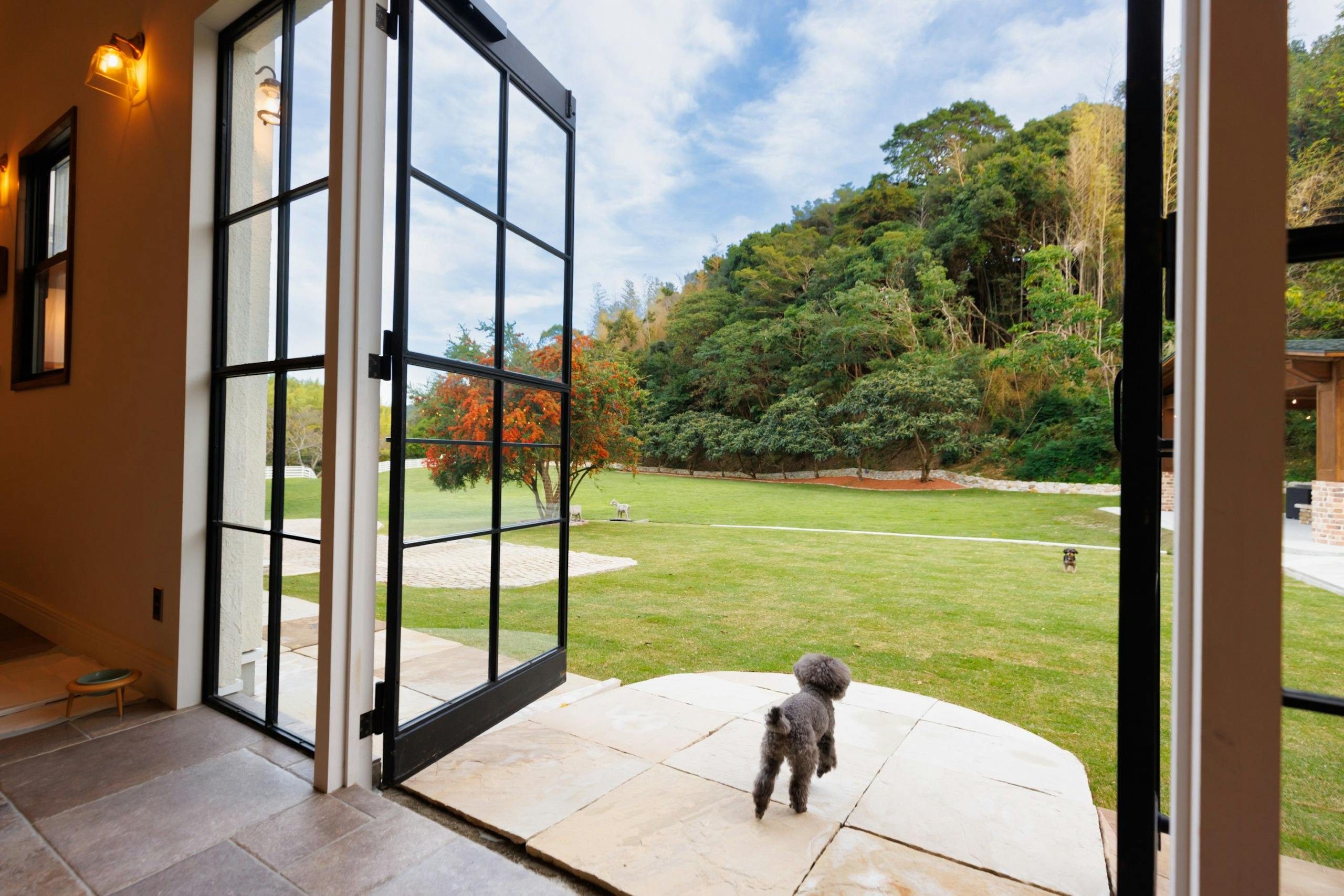 The dog villa Olive