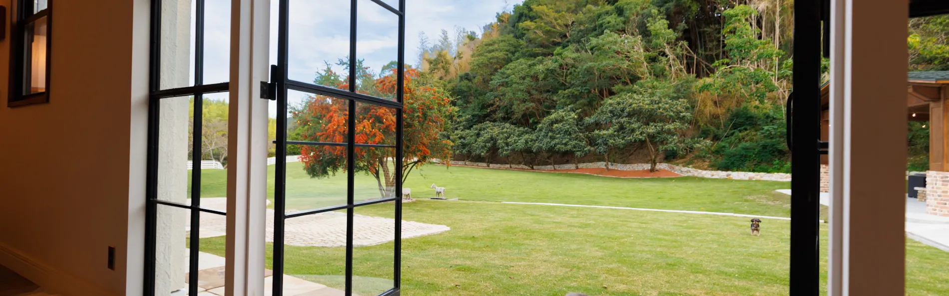 The dog villa Olive