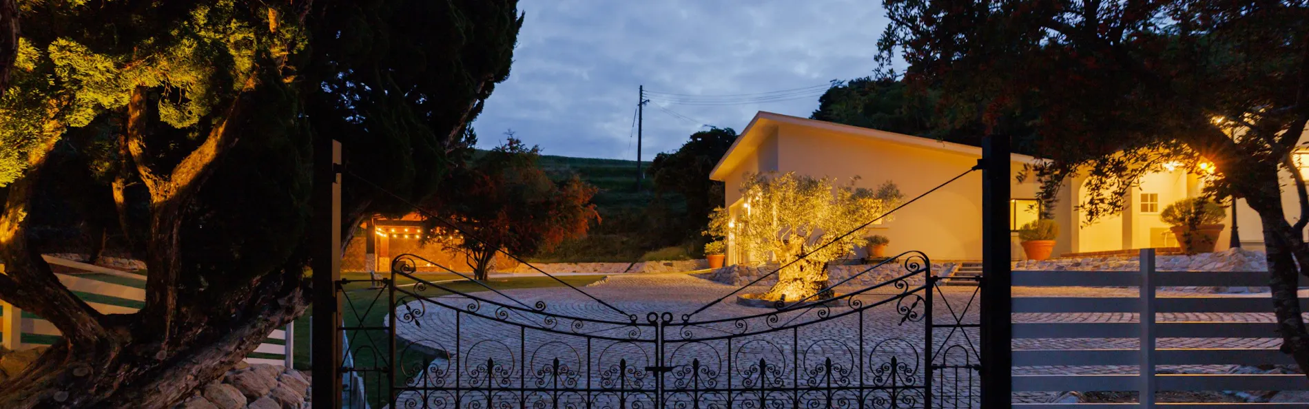 The dog villa Olive