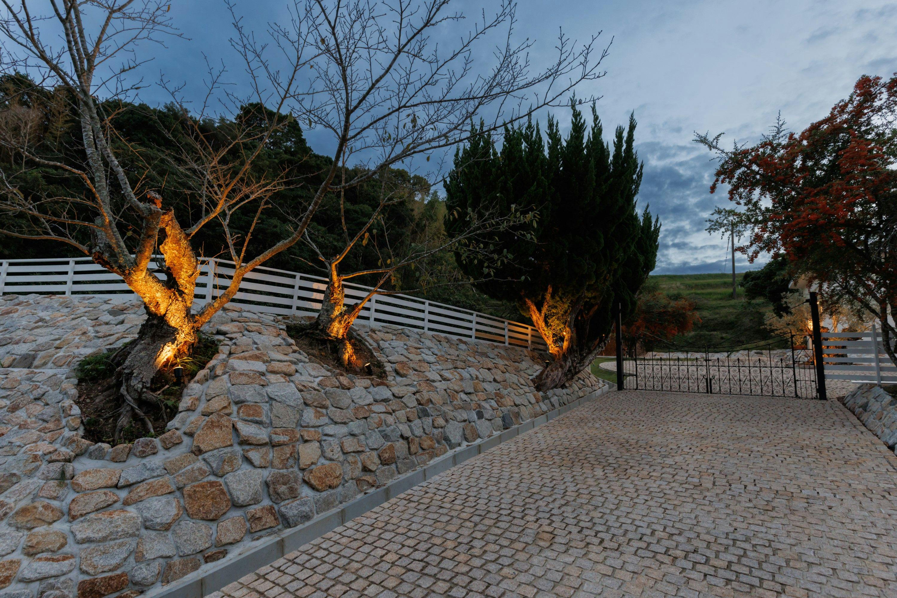 The dog villa Olive