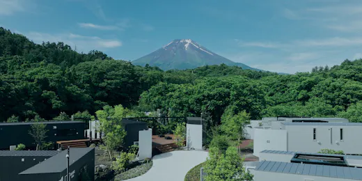 BLANC FUJI