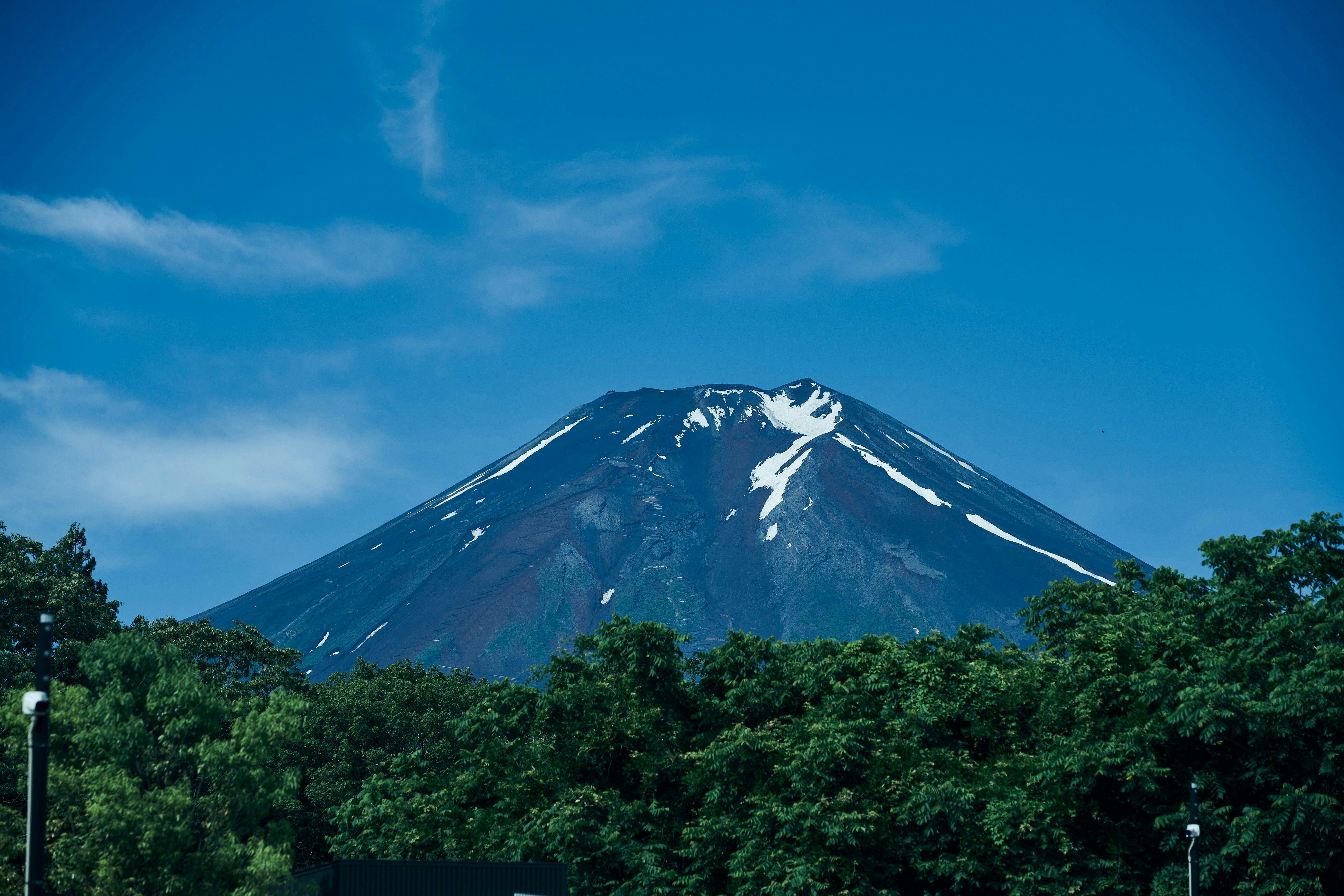 BLANC FUJI