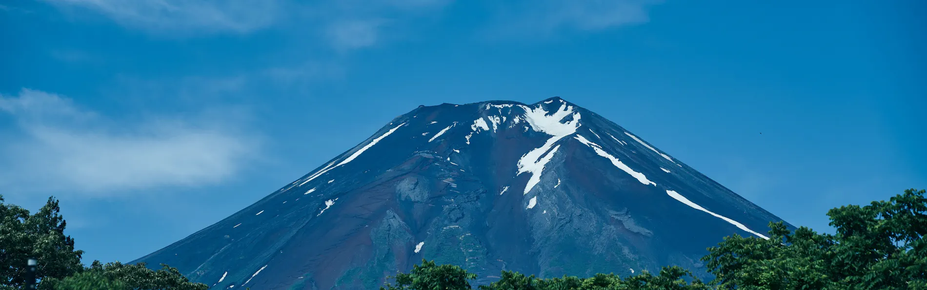 BLANC FUJI