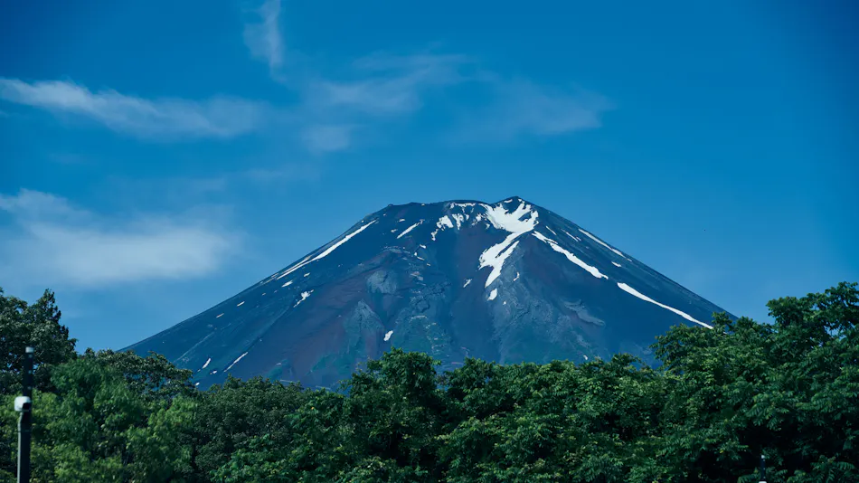 BLANC FUJI