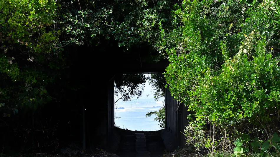 Avalon Cove