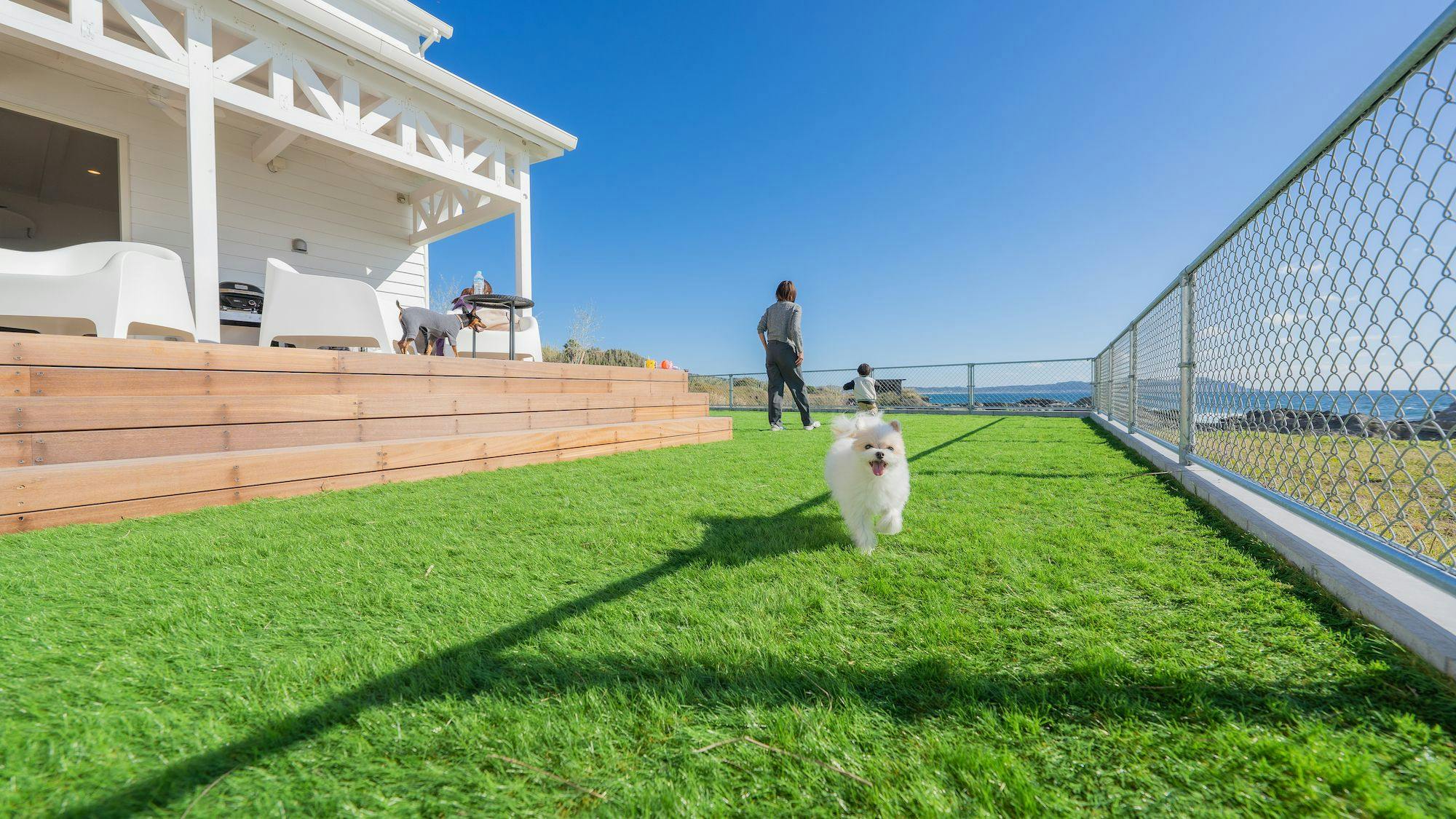 プライベートドッグラン