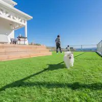 ลานวิ่งเล่นสำหรับสุนัขส่วนตัว