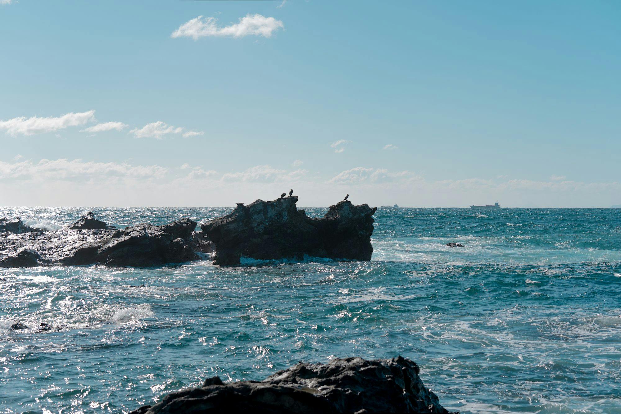 施設目の前の海