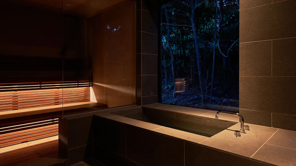 N3 ATAMI Forest