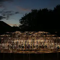 光が織りなす幻想世界「Mountain Lights」