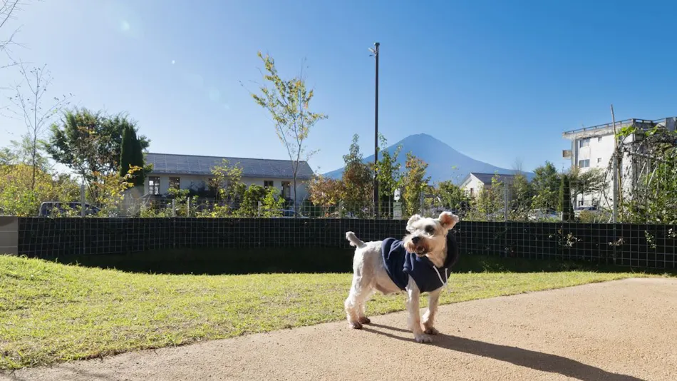 ICHI En