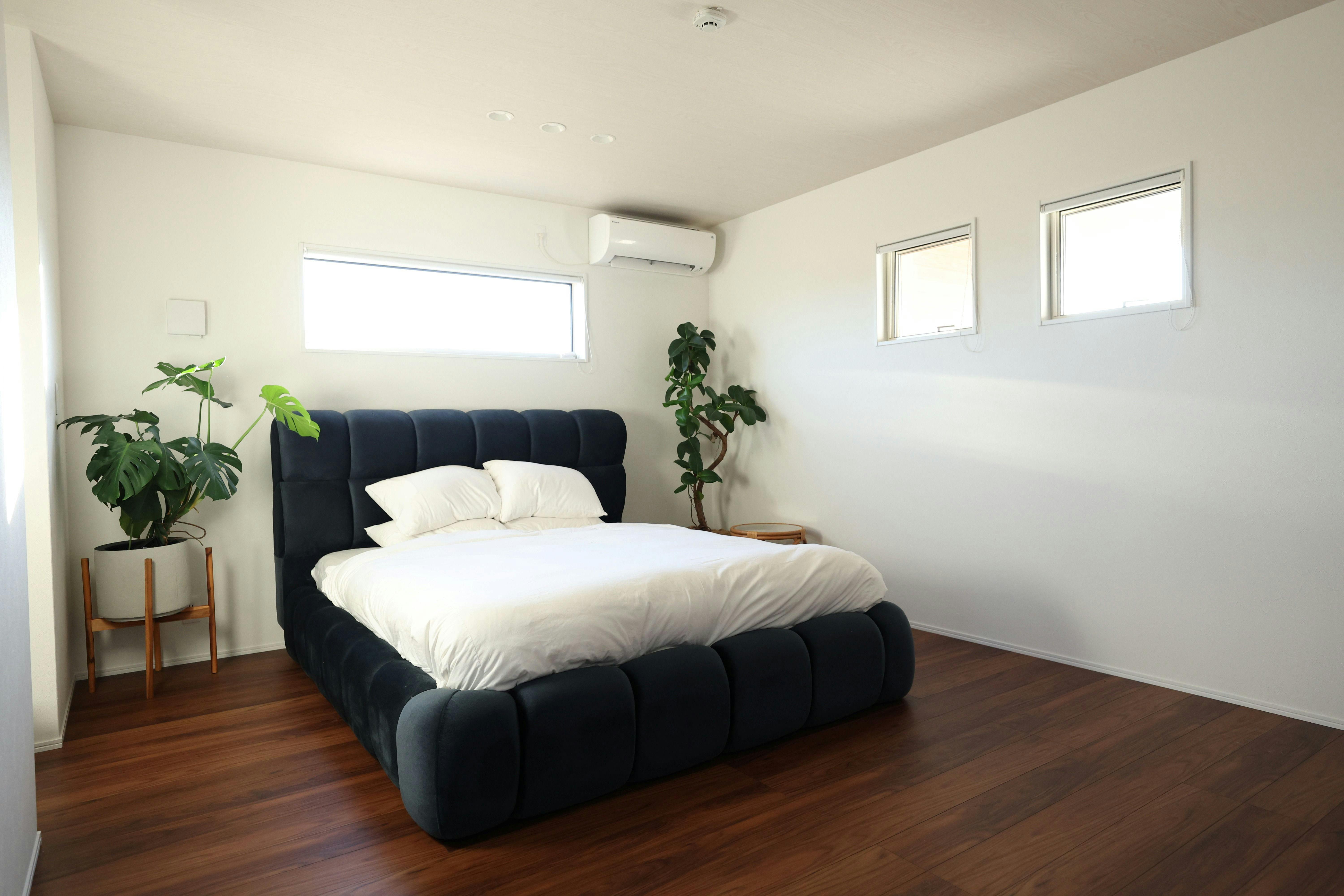 aoshimatei -SUZU-