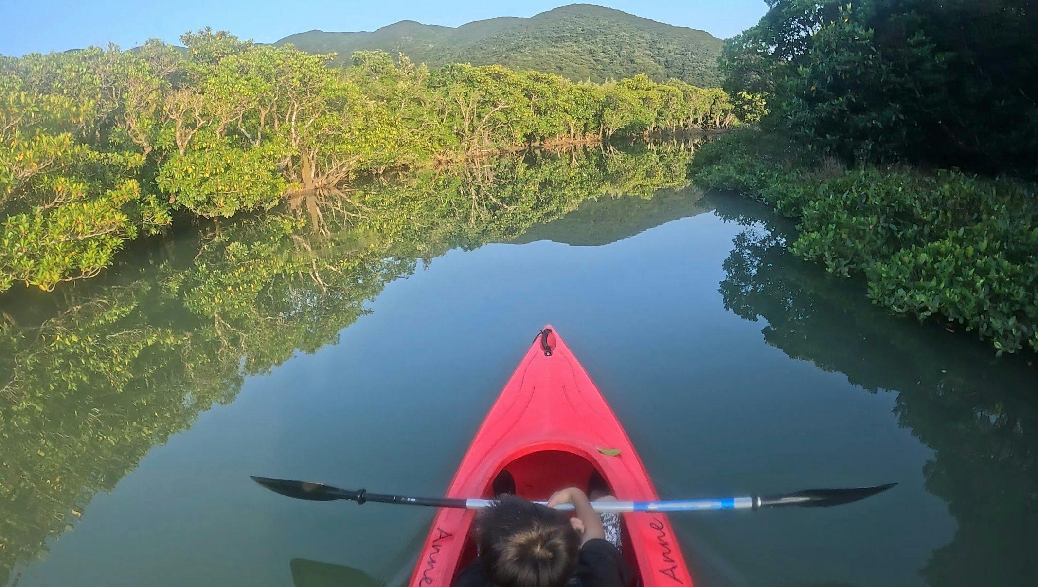 マングローブカヌー