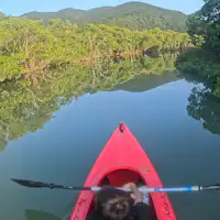 マングローブカヌー