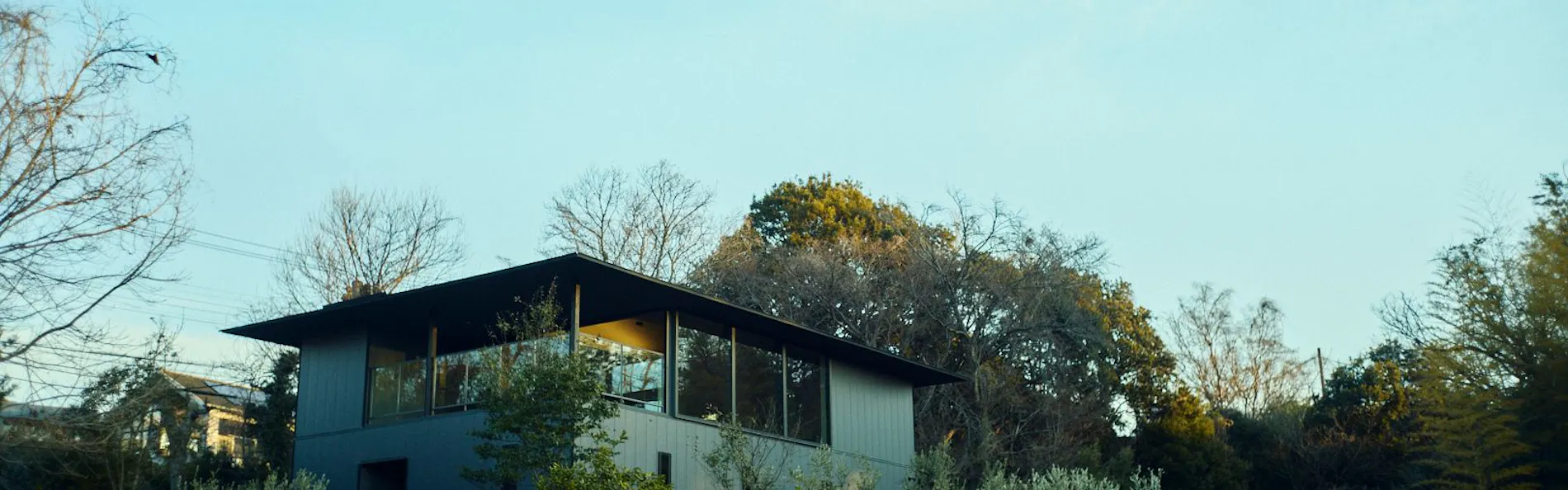 Hiire IZU OLIVE