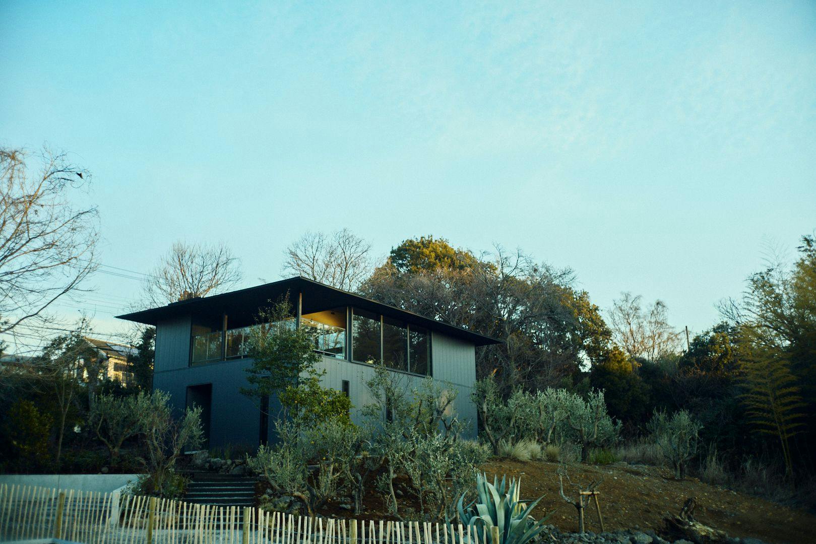 Hiire IZU OLIVE