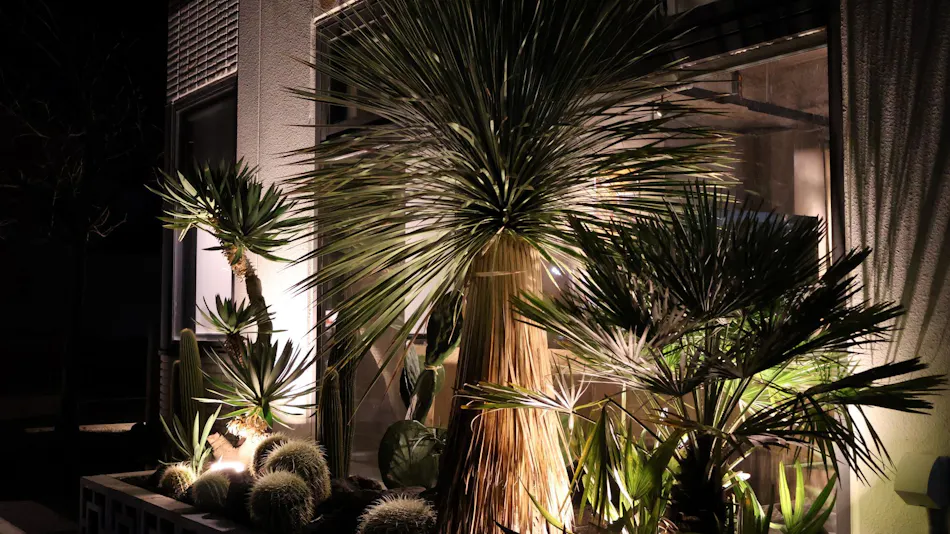 THE MILL STUDIO HOTEL