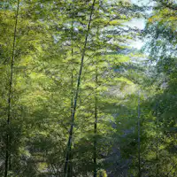 部屋からの眺め