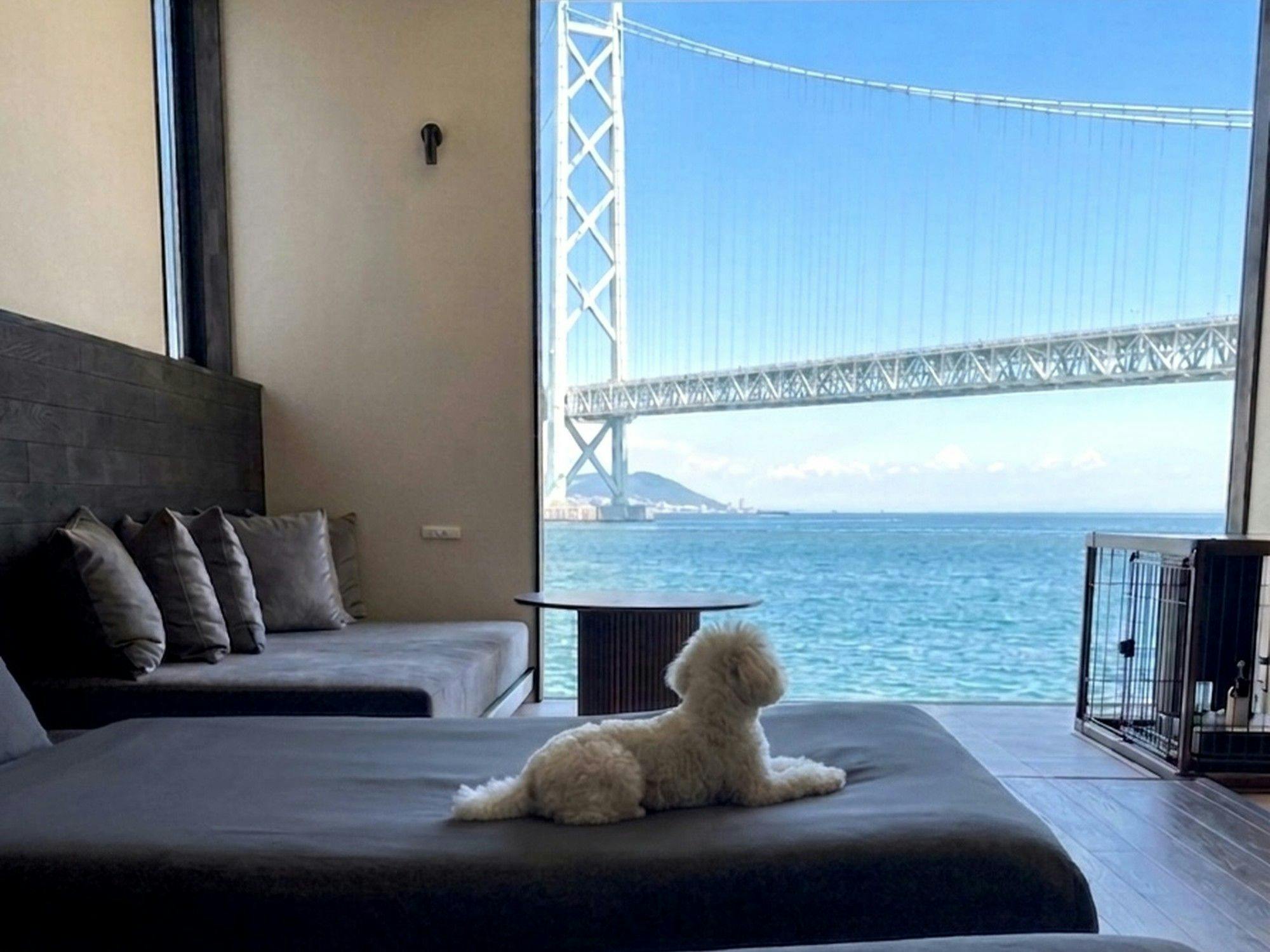 반려견과 함께 침대에서 동반 취침 가능합니다