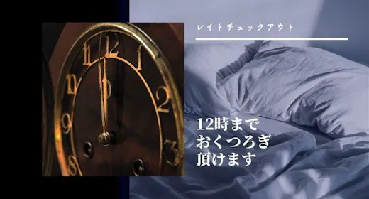【一休の日】素泊まりゆっくりステイ!レイトアウト(12時チェックアウト)プラン