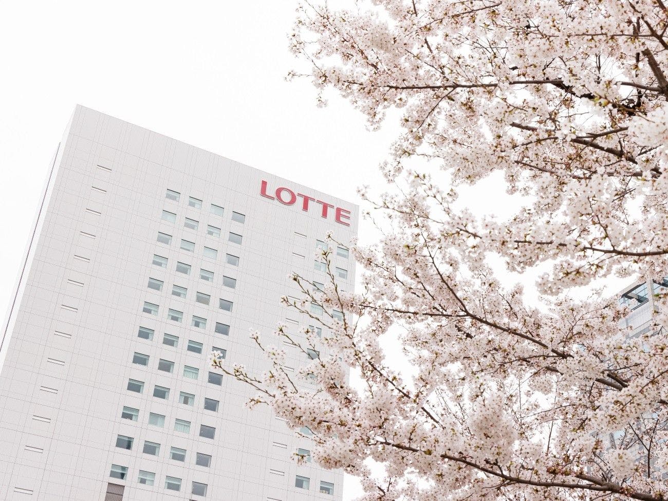 ロッテシティホテル錦糸町