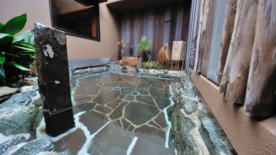 Natural Hot Spring Hagi no Yu Dormy Inn Sendai Station