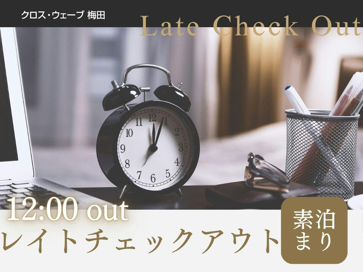 【レイトチェックアウト！】＜素泊まり＞12時チェックアウトで翌朝ゆっくり出発！梅田・天満の拠点に！
