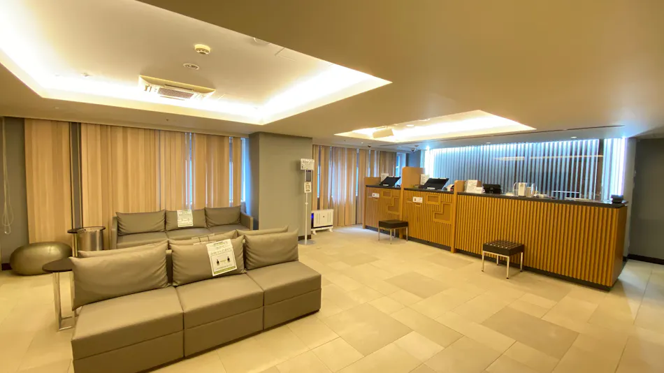 Sotetsu Fresa Inn Tokyo-Kyobashi