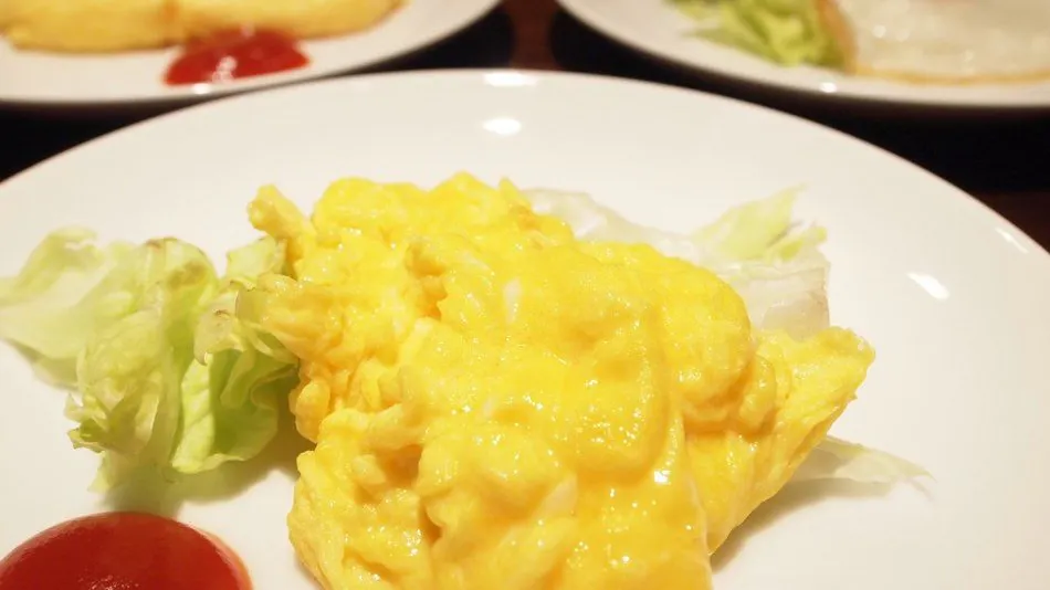 Ochanomizu Hotel Shoryukan