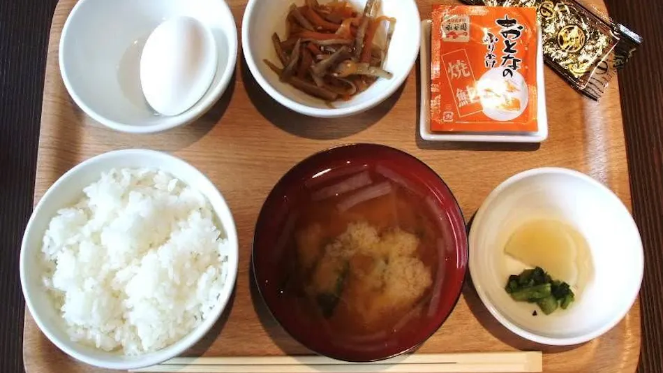 Ochanomizu Hotel Shoryukan