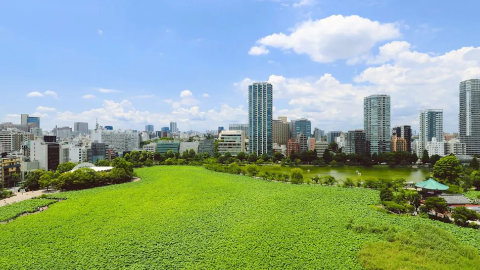 APA Hotel <Keisei Ueno Ekimae>